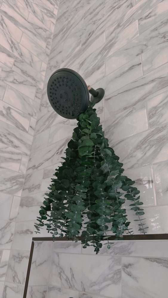 Eucalyptus in the Shower
