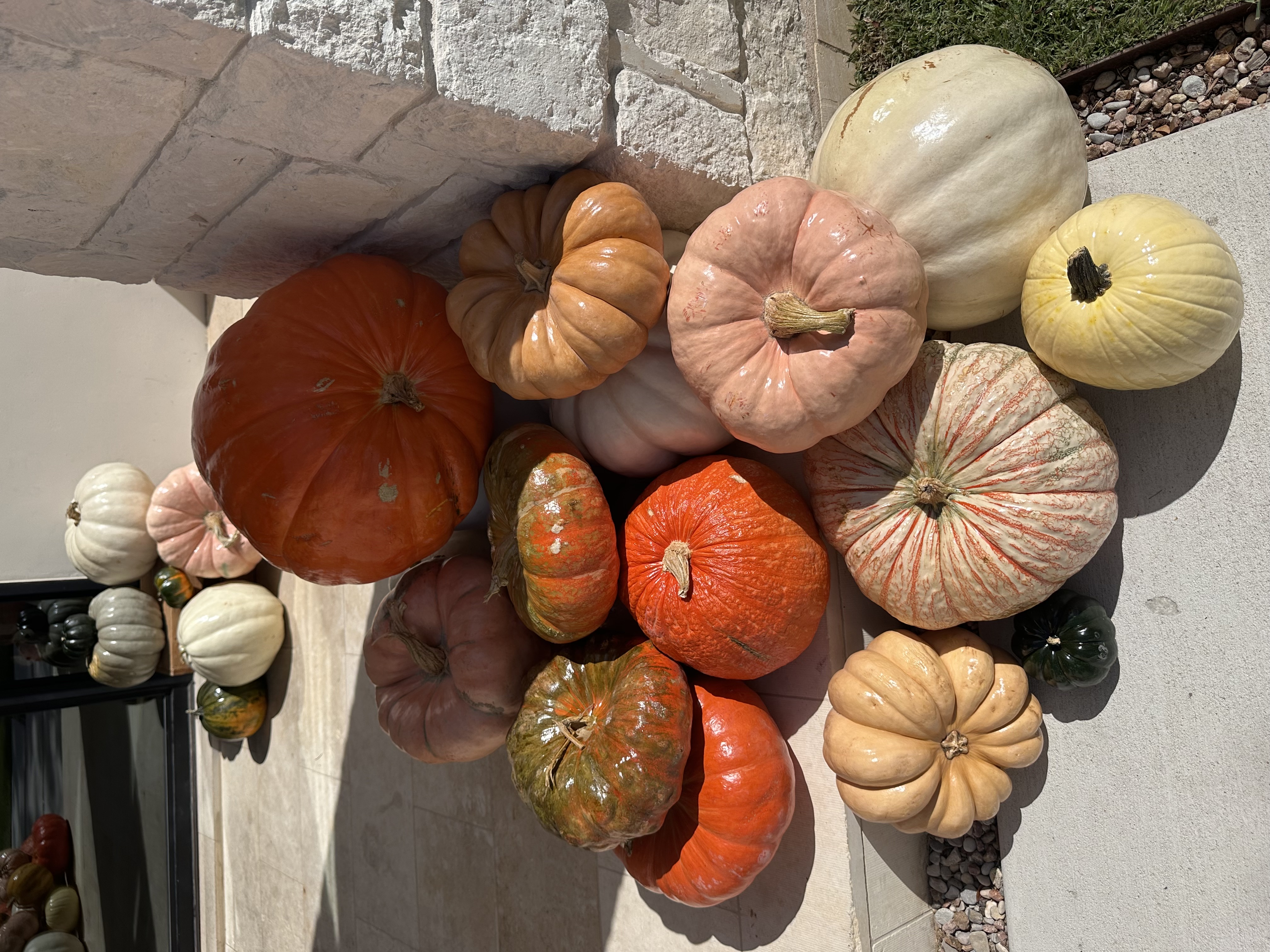 pile of pumpkins at home