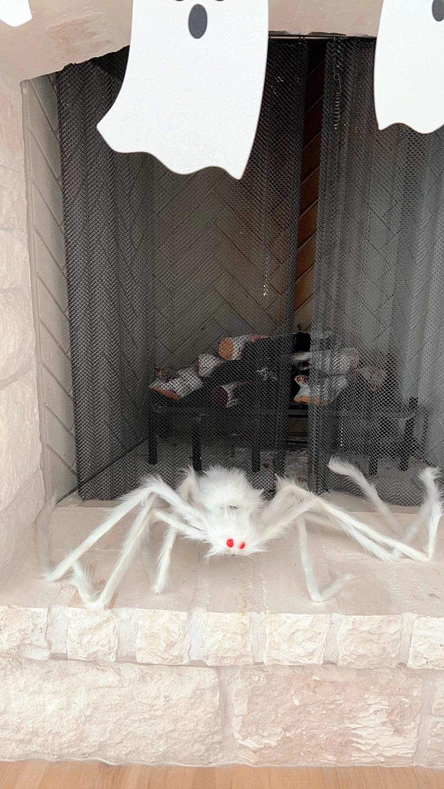 hairy spider Halloween decor